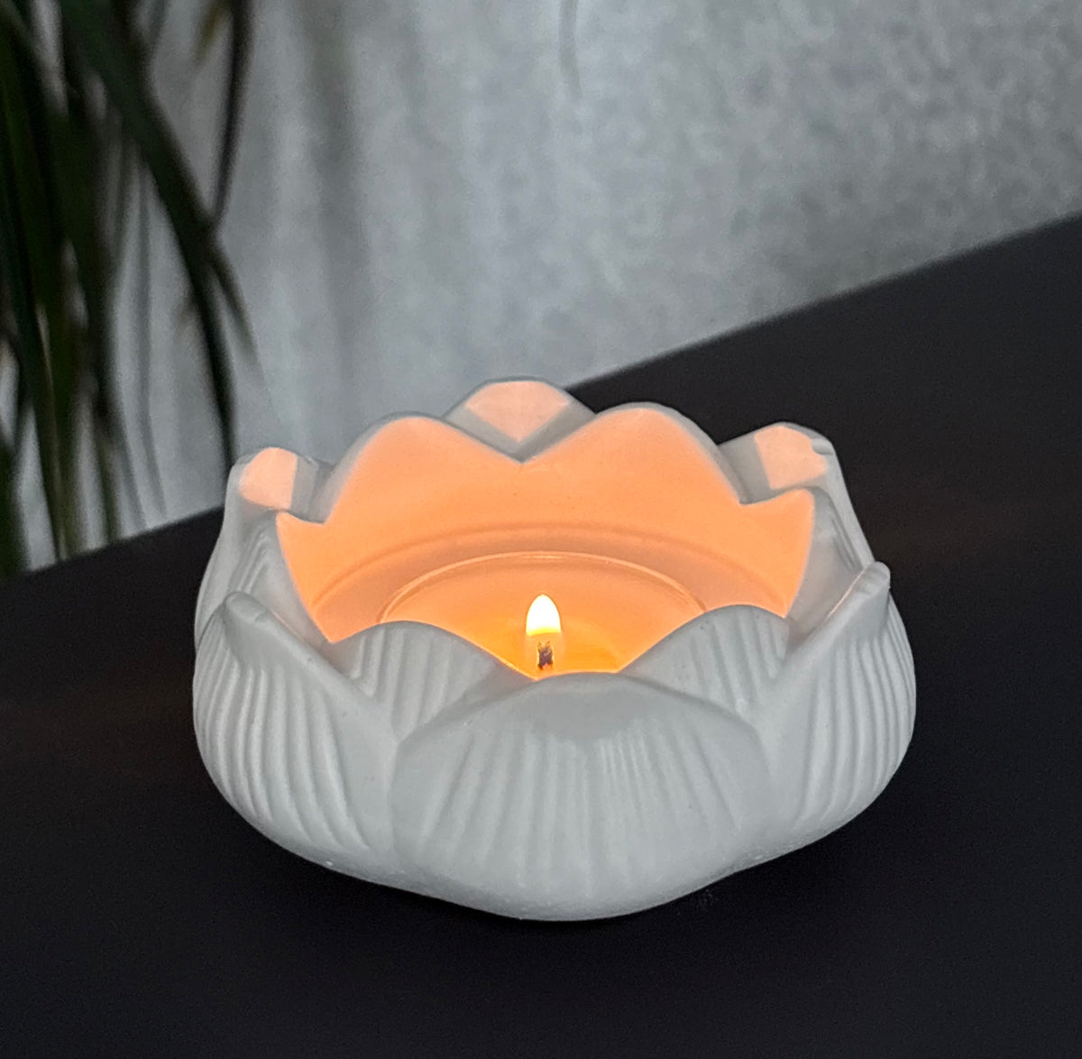 Lotus Tealight Holder Gift Box