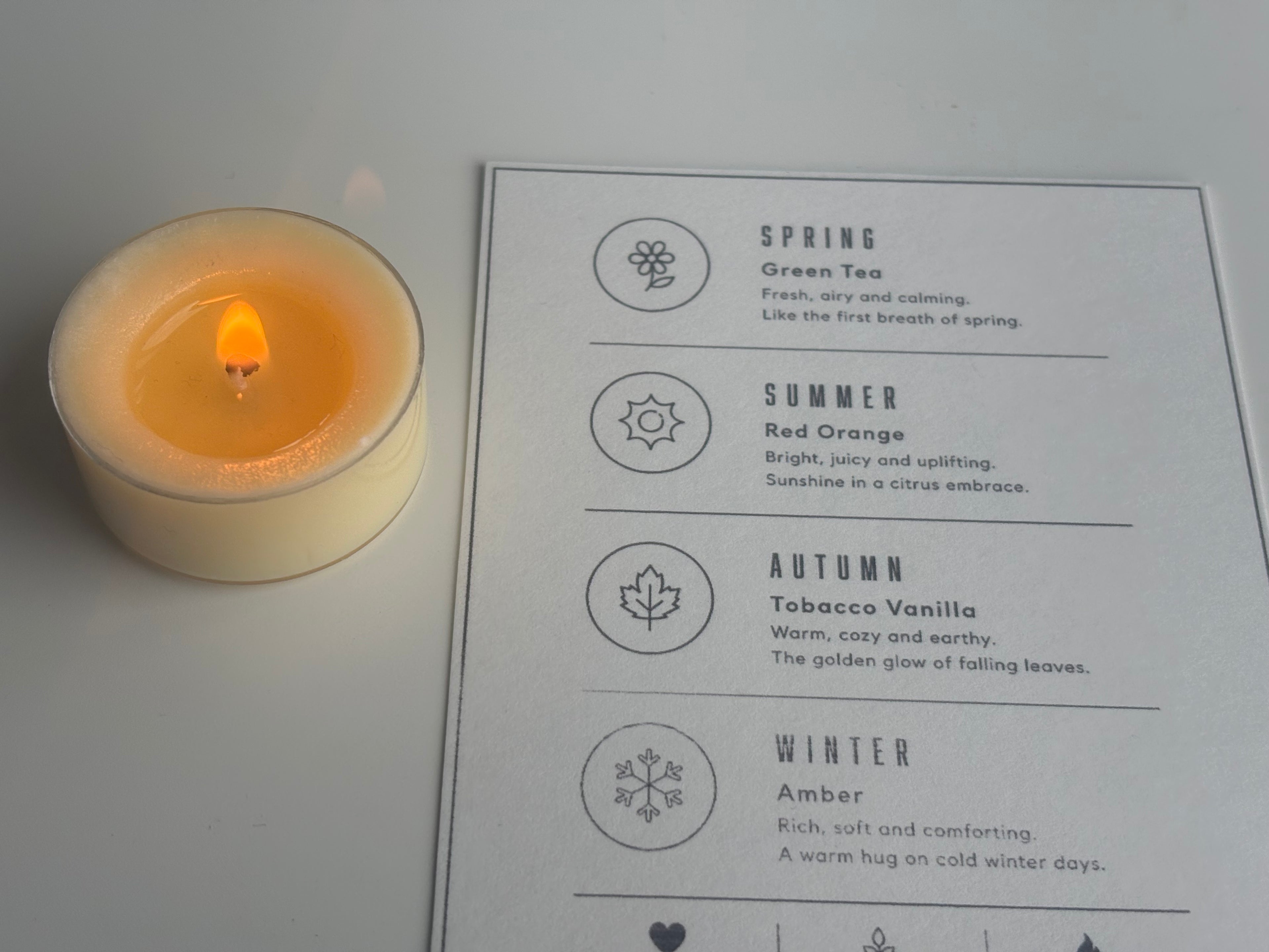 Seasonal Soy Tealight Set | 4 Handmade Seasonal Candles